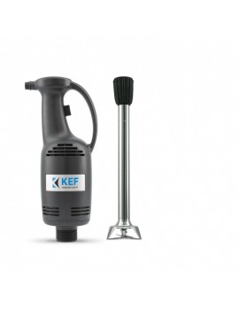 Kef El Blender BL25